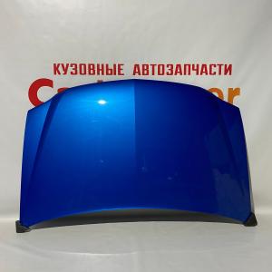 Капот на автомобиль 2199 окрашен. в цвет кузова в Волгограде по цене от 11500 рублей